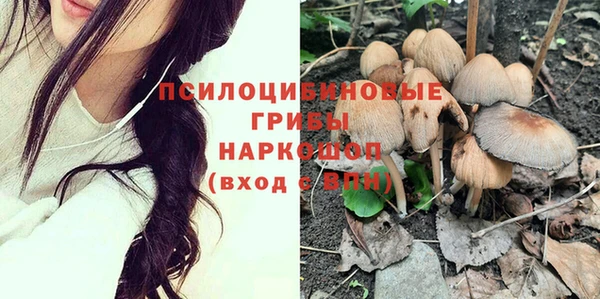 бутират Няндома