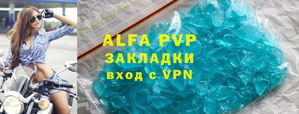 молекула духа Осташков