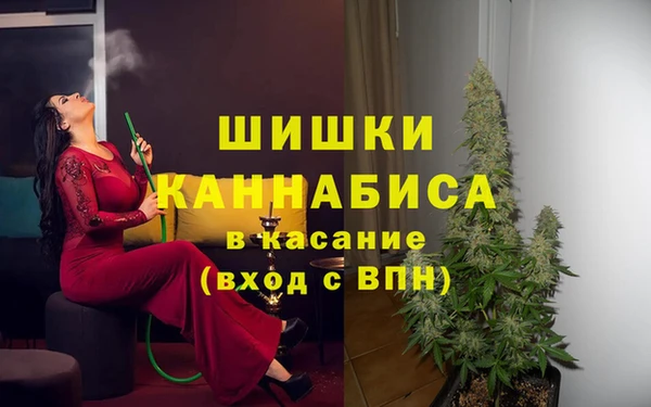 ECSTASY Гусиноозёрск