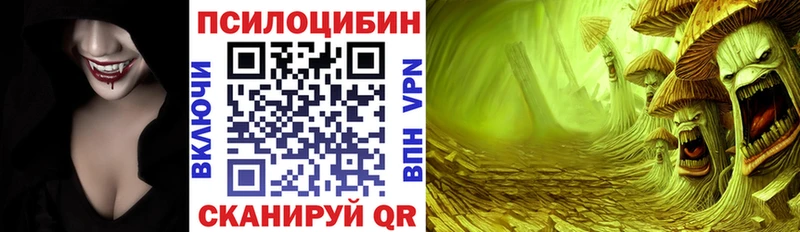 Псилоцибиновые грибы мухоморы  купить наркотик  blacksprut ссылка  Коркино 