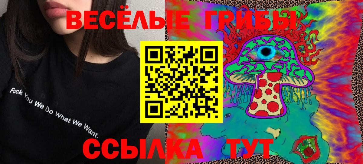 Галлюциногенные грибы Cubensis Коркино